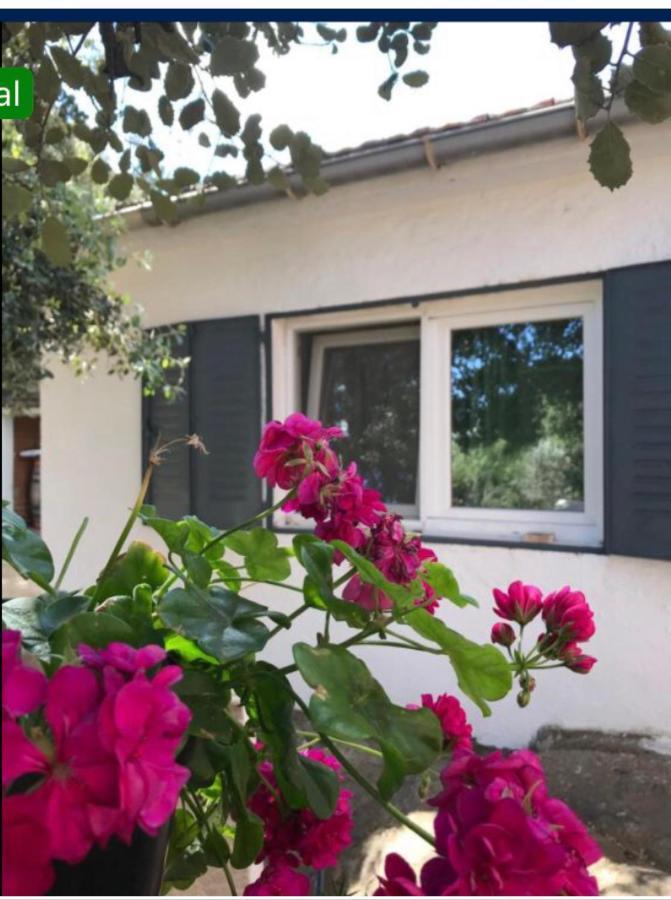 Cabana Jara Y Enebro Collado Villalba Exterior photo